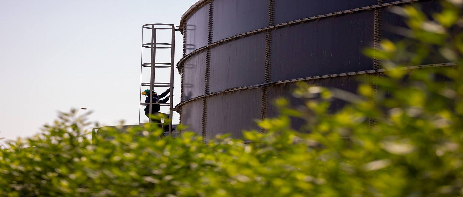 التميز في الرعاية البيئية